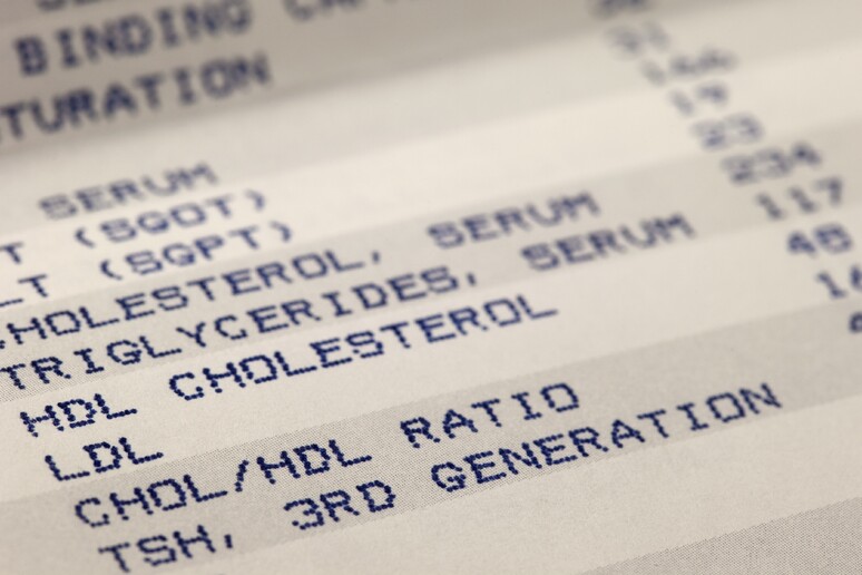 Colesterolo istruzioni per l 'uso, controlli e farmaci - RIPRODUZIONE RISERVATA
