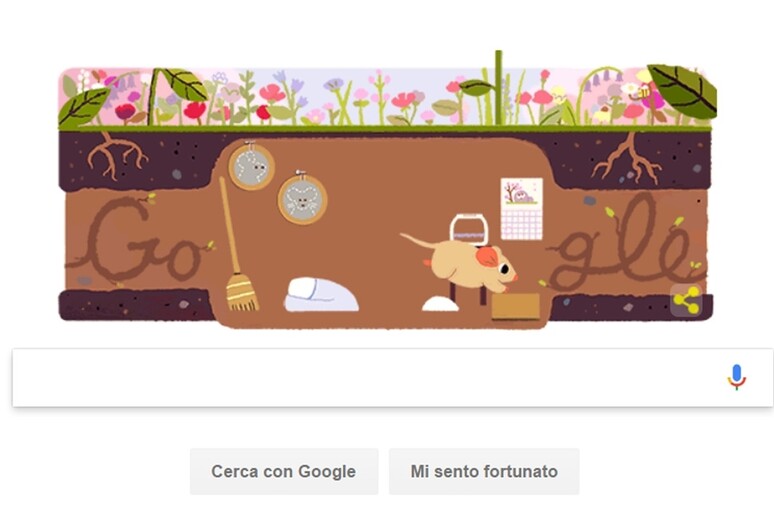 E ' primavera, c 'è il doodle di Google - RIPRODUZIONE RISERVATA