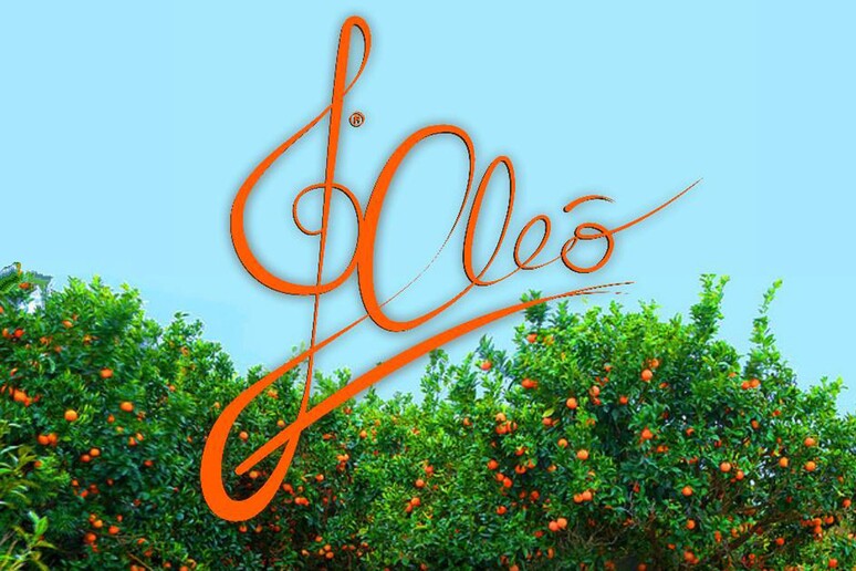 Cleo ', artista senza volto del web omaggia Mango - RIPRODUZIONE RISERVATA