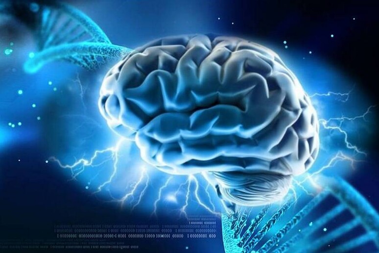 Neuroscienze e genetica hanno permesso di identificare 100 geni importanti per la memoria (fonti: la molecola di Dna è di Nogas1974; il cervello è di Allan Ajifo) - RIPRODUZIONE RISERVATA