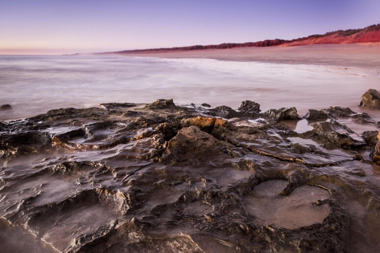 La più grande impronta di dinosauro scoperta in Australia © ANSA/EPA