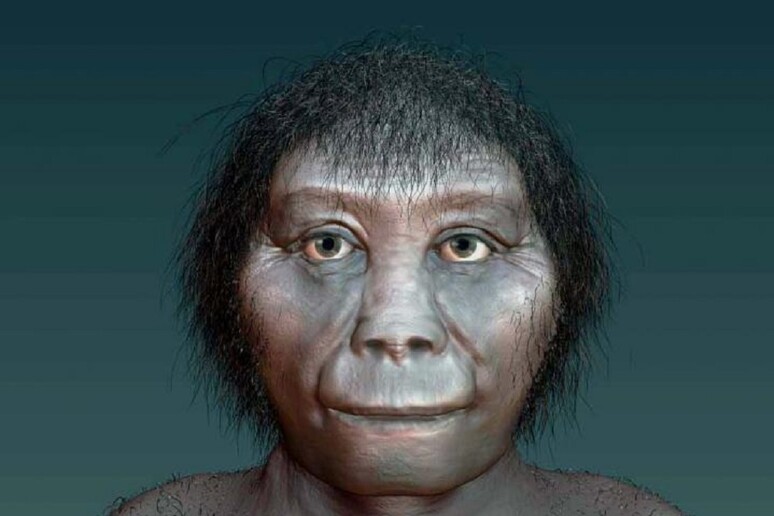 Ricostruzione artistica dell’Homo floresiensis (fonte: Katrina Kenny, SA Museum) - RIPRODUZIONE RISERVATA