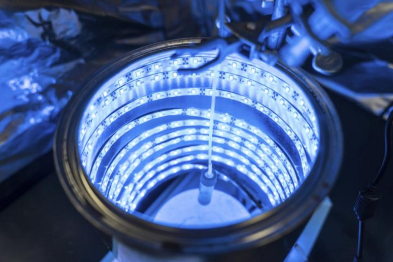 La macchina  'pulisci-aria ' che imita la fotosintesi  (fonte: UCF: Bernard Wilchusky) - RIPRODUZIONE RISERVATA
