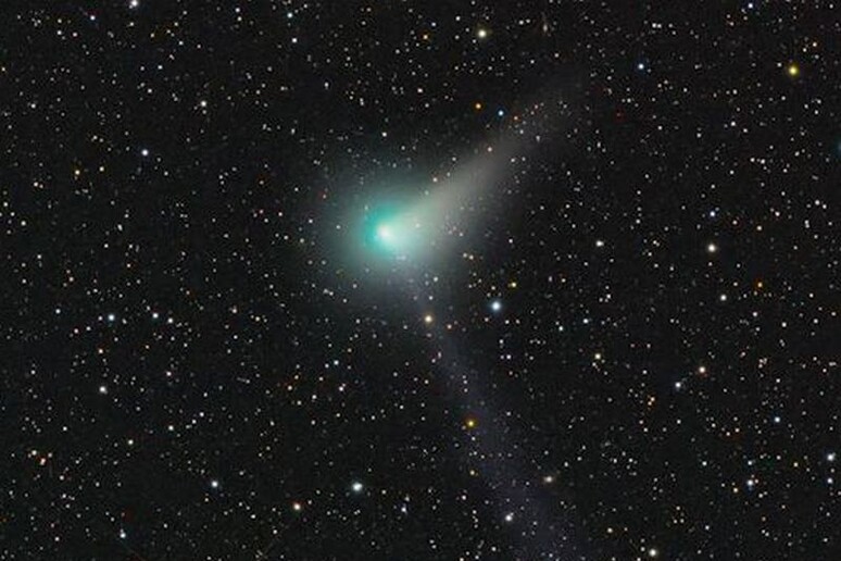 La cometa Johnson (C/2015 V2) fotografata da Rolando Ligustri (fonte: Rolando Ligustri) - RIPRODUZIONE RISERVATA