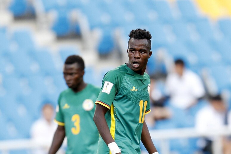 Giocatori della nazionale del Senegal under 20 - RIPRODUZIONE RISERVATA