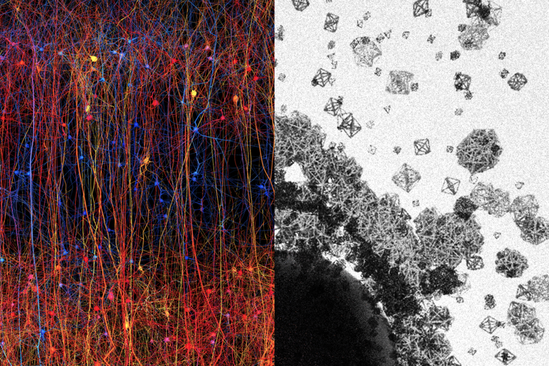 Sulla sinistra la struttura della corteccia cerebrale; a destra la rappresentazione grafica delle strutture a più dimensioni nelle quali si organizzano le reti di neuroni (fonte: Blue Brain Project) - RIPRODUZIONE RISERVATA