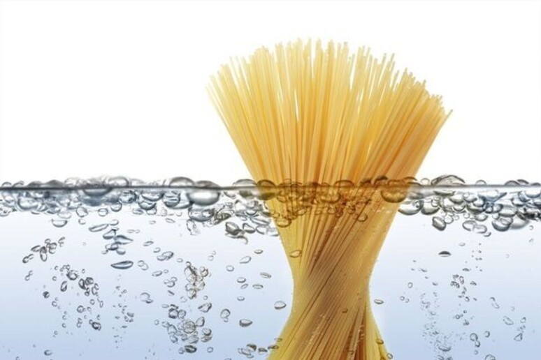 A Roma Pasta Day celebra obbligo etichetta per pasta e riso - RIPRODUZIONE RISERVATA