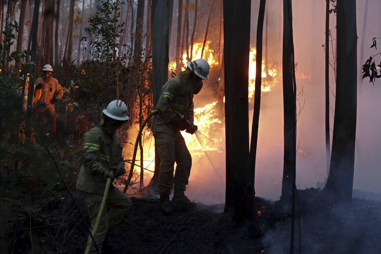 Portogallo: incendio in un bosco, decine di morti © ANSA/AP