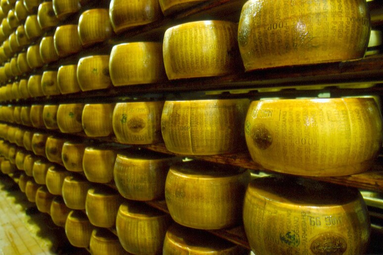 Al Parmigiano Reggiano l 'oscar dei formaggi - RIPRODUZIONE RISERVATA