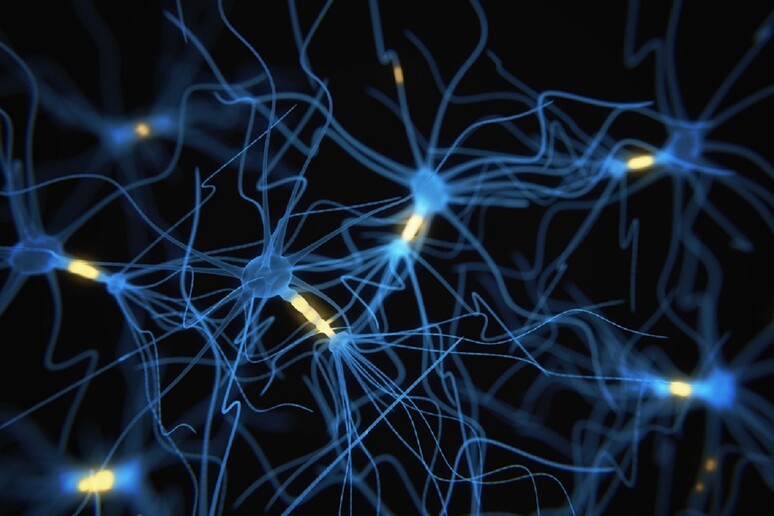 Una nuova tecnica consente di  'taggare ' i neuroni fornendo istantanee ultra-precise della loro attività (fonte: MIT) - RIPRODUZIONE RISERVATA