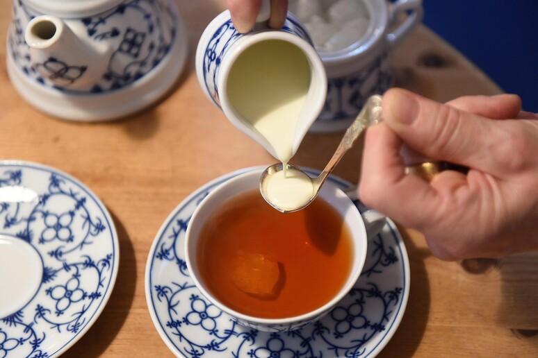 Bere tè potrebbe alterare l 'attività di alcuni geni - RIPRODUZIONE RISERVATA