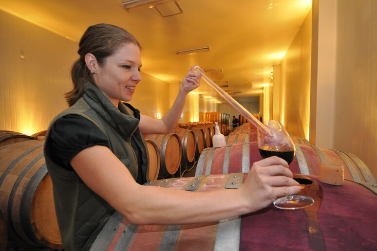 Vola l 'export del vino biologico made in Italy - RIPRODUZIONE RISERVATA