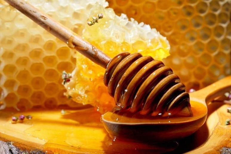 Il miele per controllare l 'ambiente, scopre anche le frodi - RIPRODUZIONE RISERVATA