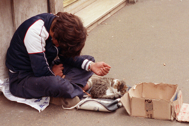 Un ragazzino chiede l 'elemosina in compagnia di un gattino in una foto di archivio scattata a Roma - RIPRODUZIONE RISERVATA