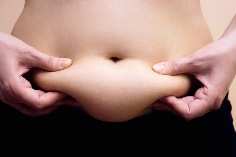 Un cerotto brucia-grassi potrebbe diventare l 'arma contro l 'obesità - RIPRODUZIONE RISERVATA
