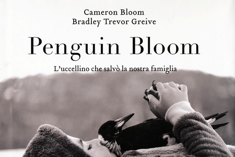 La copertina del libro  'Penguin Bloom. L 'uccellino che salvò la nostra famiglia ' - RIPRODUZIONE RISERVATA