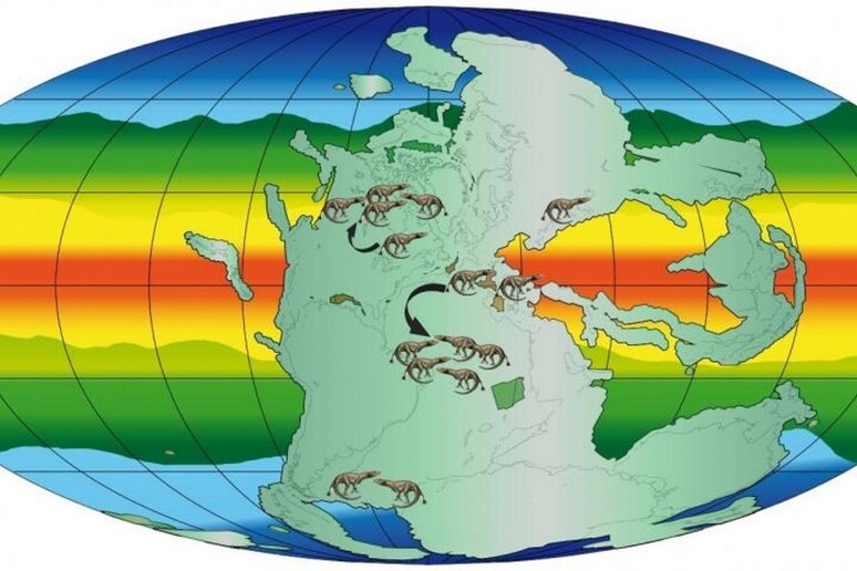 Mappa della distribuzione geografica dei vertebrati terrestri circa 250 milioni di anni fa, quando la Terra era formata da un unico grande continente, la Pangea (fonte Archivio Muse) - RIPRODUZIONE RISERVATA