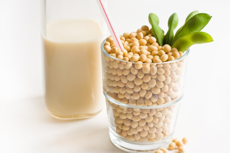Il latte vegetale più equilibrato è quello di soia - RIPRODUZIONE RISERVATA