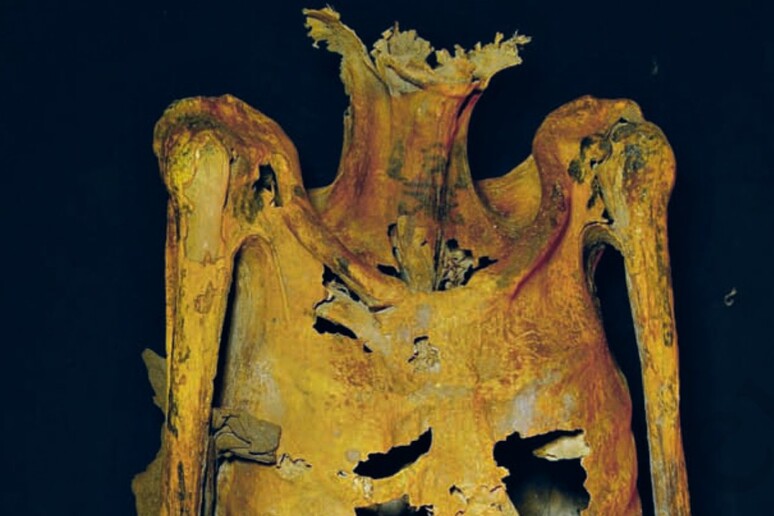 La mummia con i tatuaggi di 3000 anni fa (fonte: French Institute of Oriental Archaeology) - RIPRODUZIONE RISERVATA