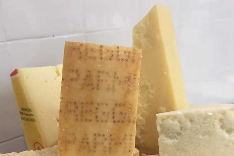 Crea, analisi del Dna per difendere i veri formaggi italiani - RIPRODUZIONE RISERVATA