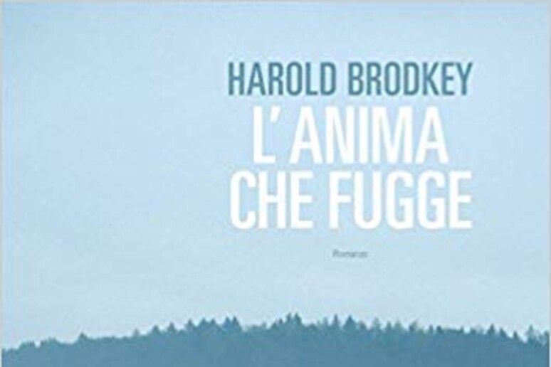 La copertina di Harold Brodkey, L 'anima che fugge - RIPRODUZIONE RISERVATA