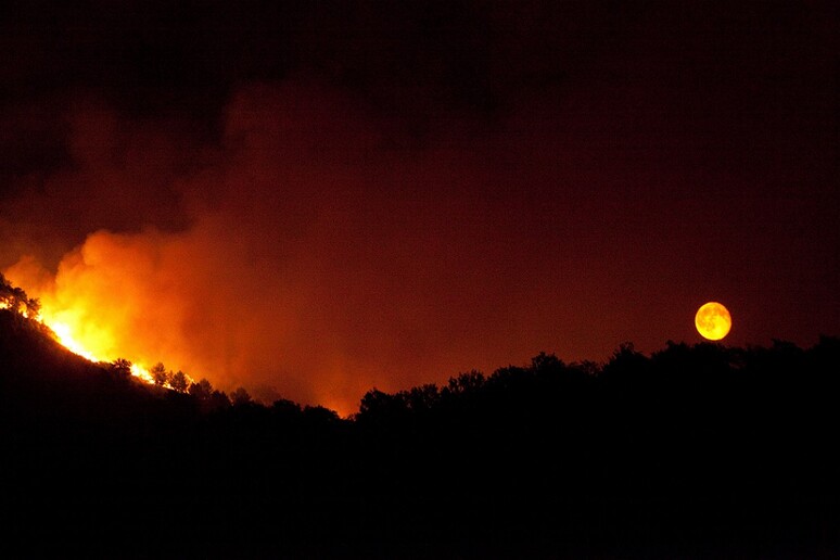 Il riscaldamento globale aumenta il rischio incendi nell 'Europa mediterranea (fonte: Camillo Ferrari, CC BY-SA 3.0) - RIPRODUZIONE RISERVATA