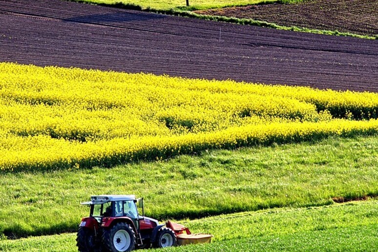 L 'agricoltore del futuro è attento ad ambiente e tecnologia (fonte: Pixabay) - RIPRODUZIONE RISERVATA