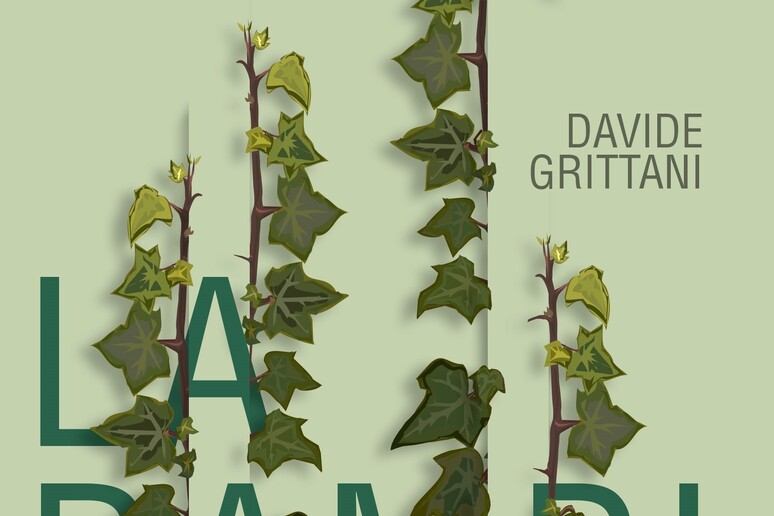 La copertina del libro di Davide Grittani  'La rampicante ' - RIPRODUZIONE RISERVATA