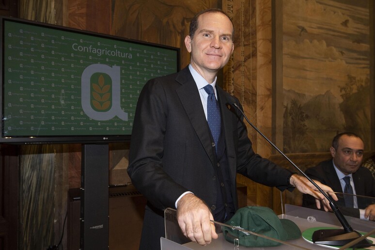 Il presidente di Confagricoltura Massimiliano Giansanti - RIPRODUZIONE RISERVATA