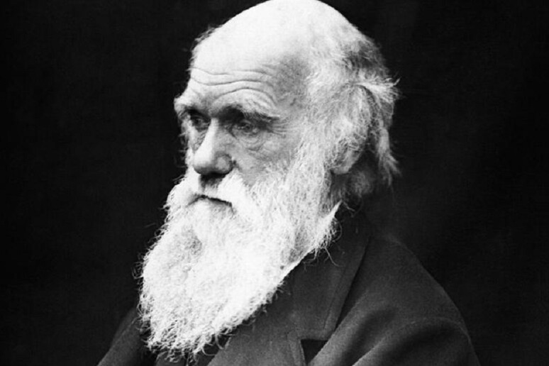 Charles Darwin (fonte: University of Tasmania) - RIPRODUZIONE RISERVATA