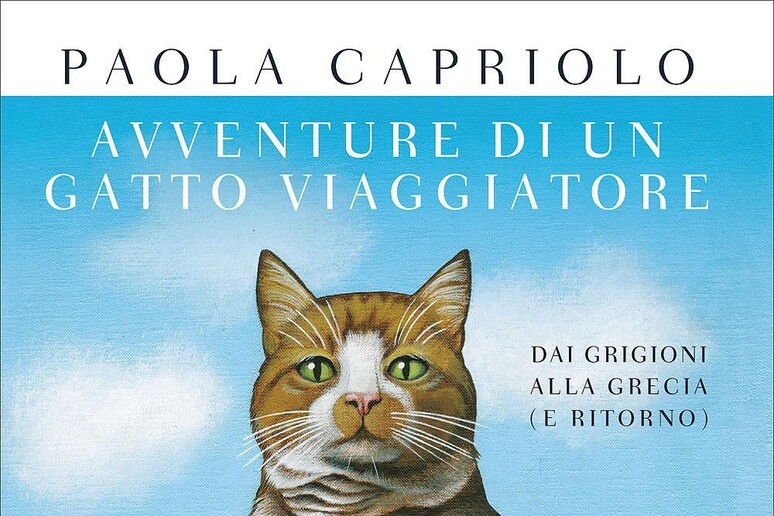 La copertina di  'Avventure di un gatto viaggiatore ' - RIPRODUZIONE RISERVATA