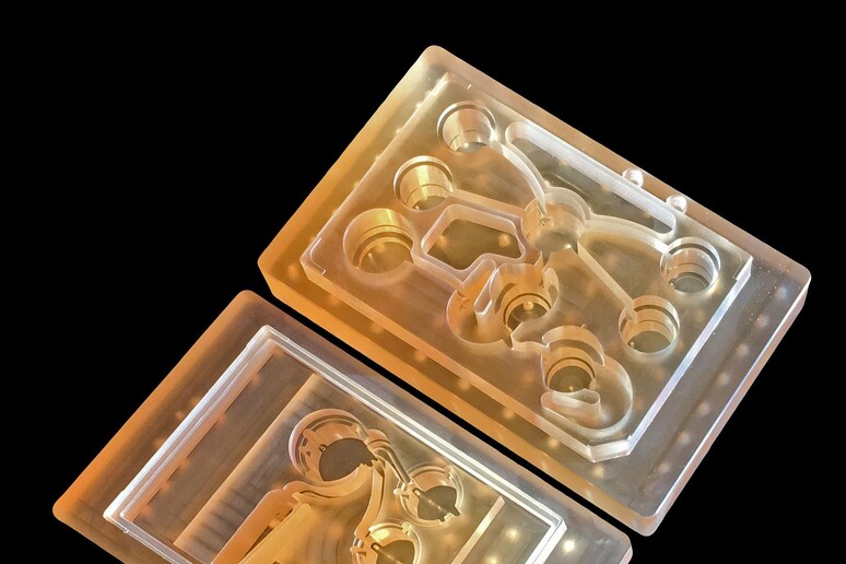 Il primo organismo su chip può connettere i tessuti di 10 organi (fonte: Felice Frankel) - RIPRODUZIONE RISERVATA