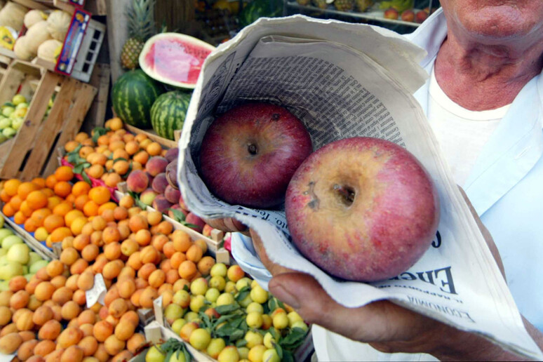 La mela annurca fonte di benessere - RIPRODUZIONE RISERVATA