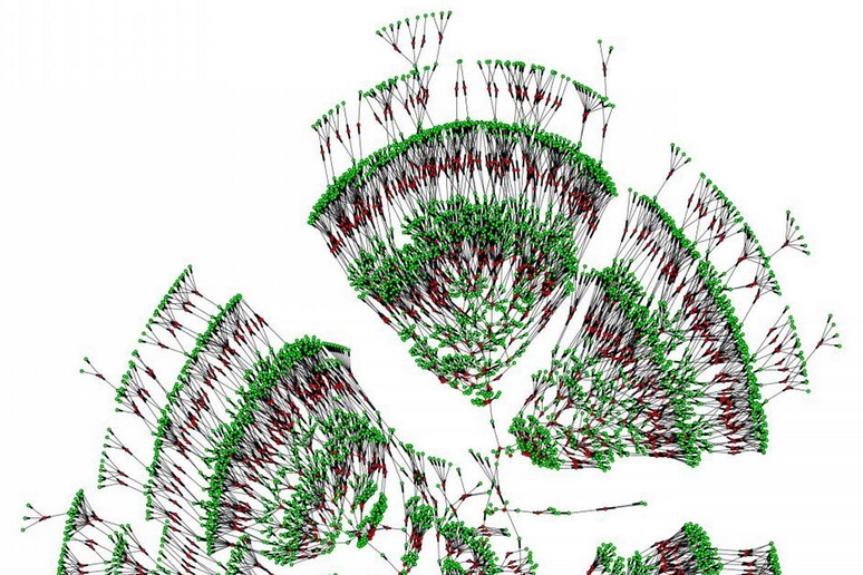 L 'albero genealogico di oltre 6.000 persone ripulito e organizzato utilizzando la teoria dei grafi: gli individui che coprono sette generazioni sono rappresentati in verde, i loro legami coniugali in rosso. (fonte: Columbia University) - RIPRODUZIONE RISERVATA