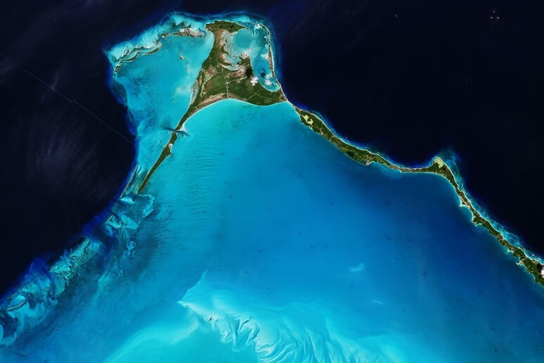 Egg Island, l 'Isola delle uova fotografata dal satellite europeo Sentinel-2B (fonte: Copernicus Sentinel/ESA) - RIPRODUZIONE RISERVATA