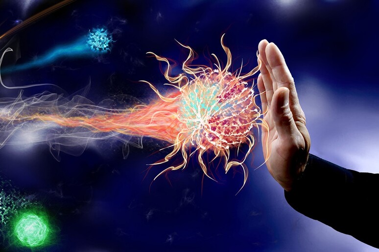 Anticorpi finora considerato soltanto pericolosi sono in realtà l 'arma segreta del sistema immunitario (fonte: Pixabay) - RIPRODUZIONE RISERVATA