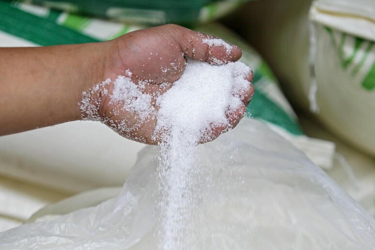 Arriva lo Zuccherometro e calcola quanto zucchero si consuma - RIPRODUZIONE RISERVATA