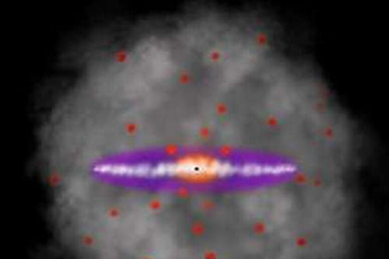 Rappresentazione grafica della materia oscura che circonda la Via Lattea (fonte: University of Miami) - RIPRODUZIONE RISERVATA