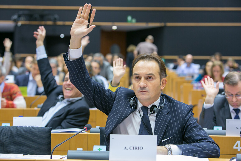 L 'eurodeputato Alberto Cirio - RIPRODUZIONE RISERVATA