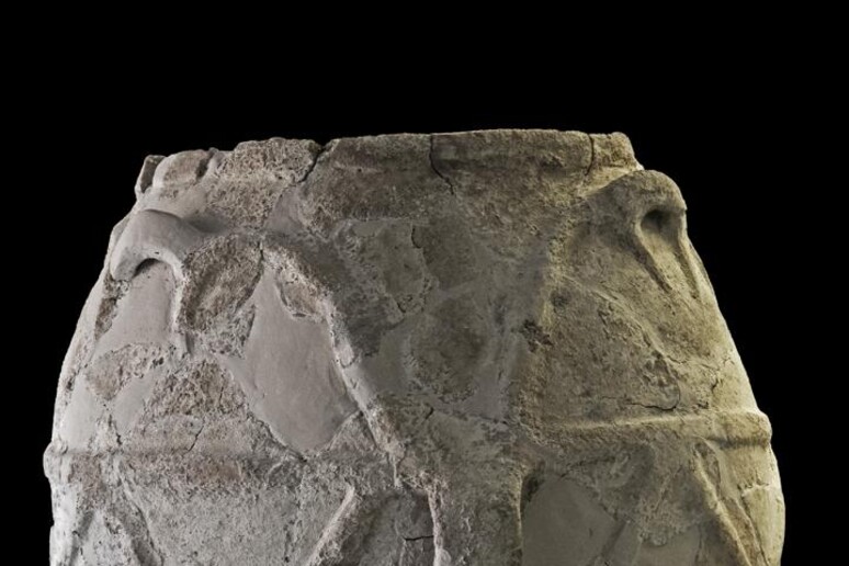 L 'antica giara di ceramica rinvenuta negli anni  '90 in Sicilia, a Castelluccio di Noto (fonte: Polo Regionale di Siracusa per i siti e musei archeologici Museo Paolo Orsi) - RIPRODUZIONE RISERVATA