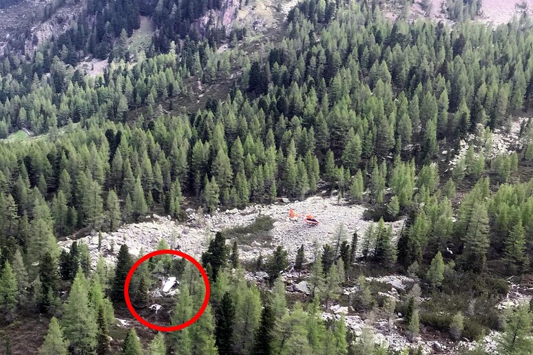 Cade aereo turismo in Trentino, un morto e una ferita - RIPRODUZIONE RISERVATA