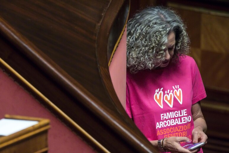 La senatrice del Pd Monica Cirinnà - RIPRODUZIONE RISERVATA