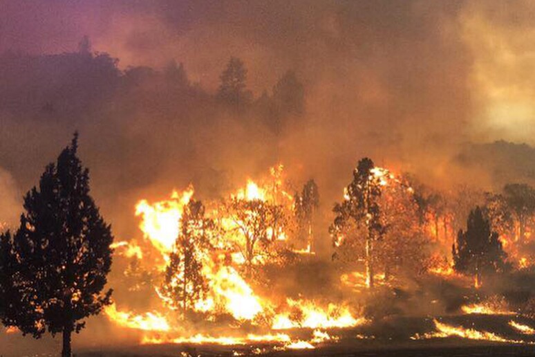Gli incendi stanno devastando la  California © ANSA/EPA