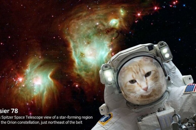 Uno dei selfie possibili con l 'app della Nasa dedicata al telescopio spaziale Spitzer (fonte: NASA/JPL-Caltech) - RIPRODUZIONE RISERVATA