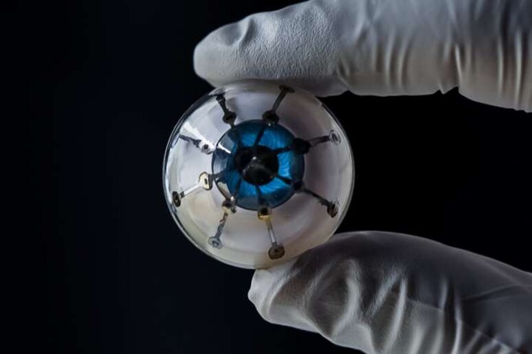 I ricercatori dell 'università del Minnesota hanno stampato in 3D  il primo prototipo del genere di occhio bionico (fonte: Università del Minnesota, McAlpine Group) - RIPRODUZIONE RISERVATA