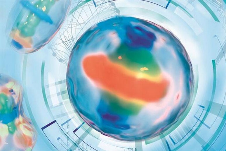 Rappresentazione artistica del modello della divisione di una cellula umana (fonte:  Aleksandra Krolik / EMBL) - RIPRODUZIONE RISERVATA