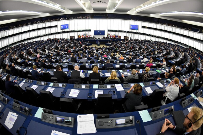 Il parlamento europeo - RIPRODUZIONE RISERVATA