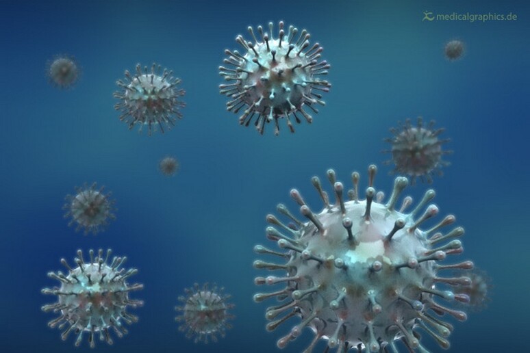 Rappresentazioine grafica del virus dell 'influenza (fonte: MedicalGraphics) - RIPRODUZIONE RISERVATA