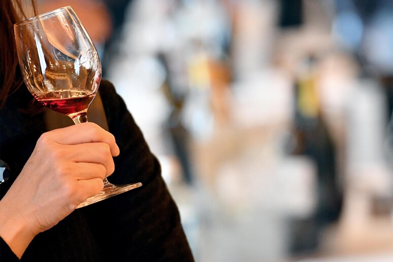 Vini abruzzesi, export cresce del +50% negli ultimi 5 anni - RIPRODUZIONE RISERVATA