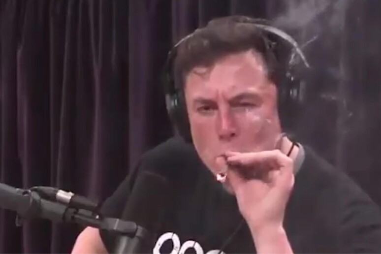 Tesla: fuma marijuana durante intervista, bufera su Musk - RIPRODUZIONE RISERVATA